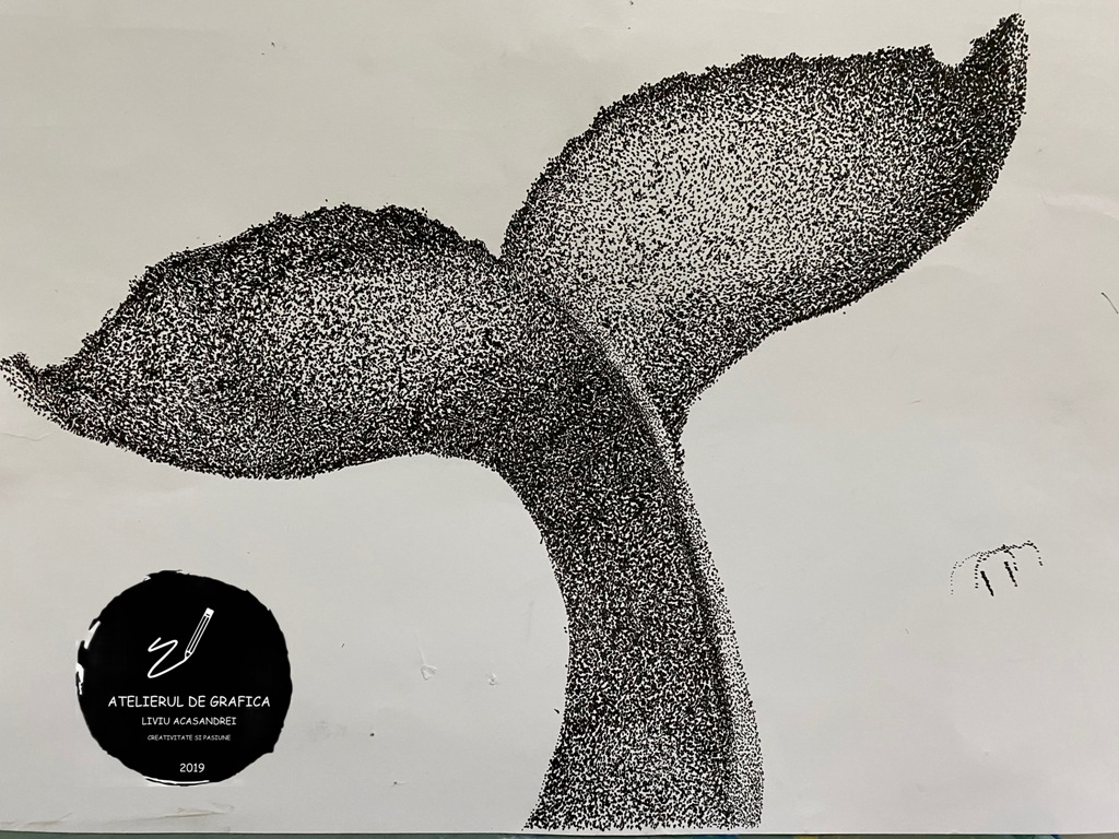 Curs de Grafica